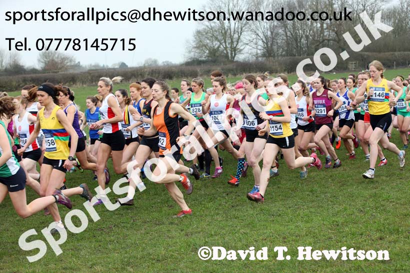 Senior womens Inter Counties Cross Country, Prestwold Hall, Loughborough. Photo: David T. Hewitson/Sports for All Pics